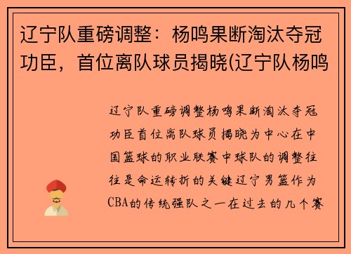 辽宁队重磅调整：杨鸣果断淘汰夺冠功臣，首位离队球员揭晓(辽宁队杨鸣图片)