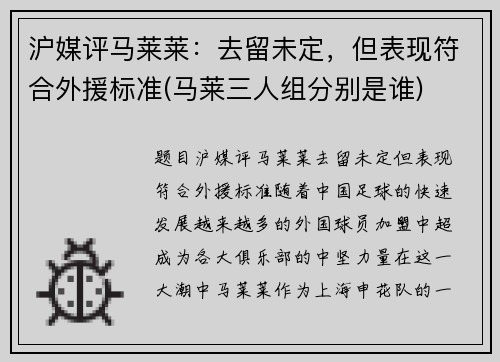 沪媒评马莱莱：去留未定，但表现符合外援标准(马莱三人组分别是谁)