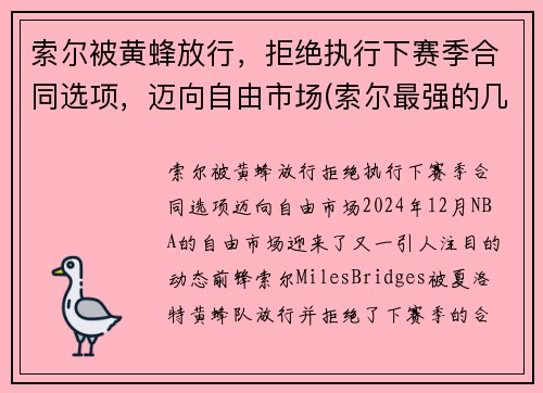 索尔被黄蜂放行，拒绝执行下赛季合同选项，迈向自由市场(索尔最强的几个状态)